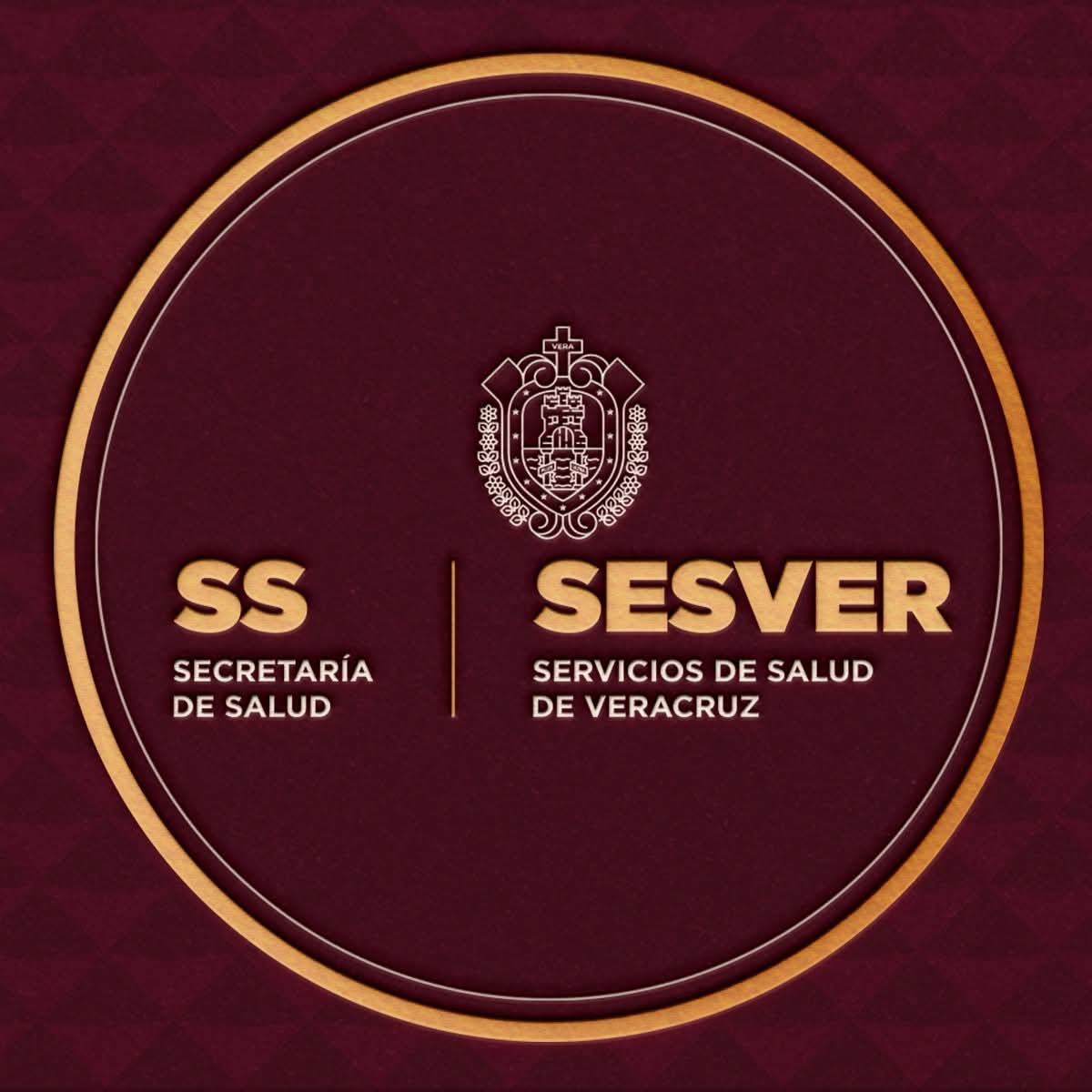 Gobierno de Veracruz | 29 de mayo de 2025