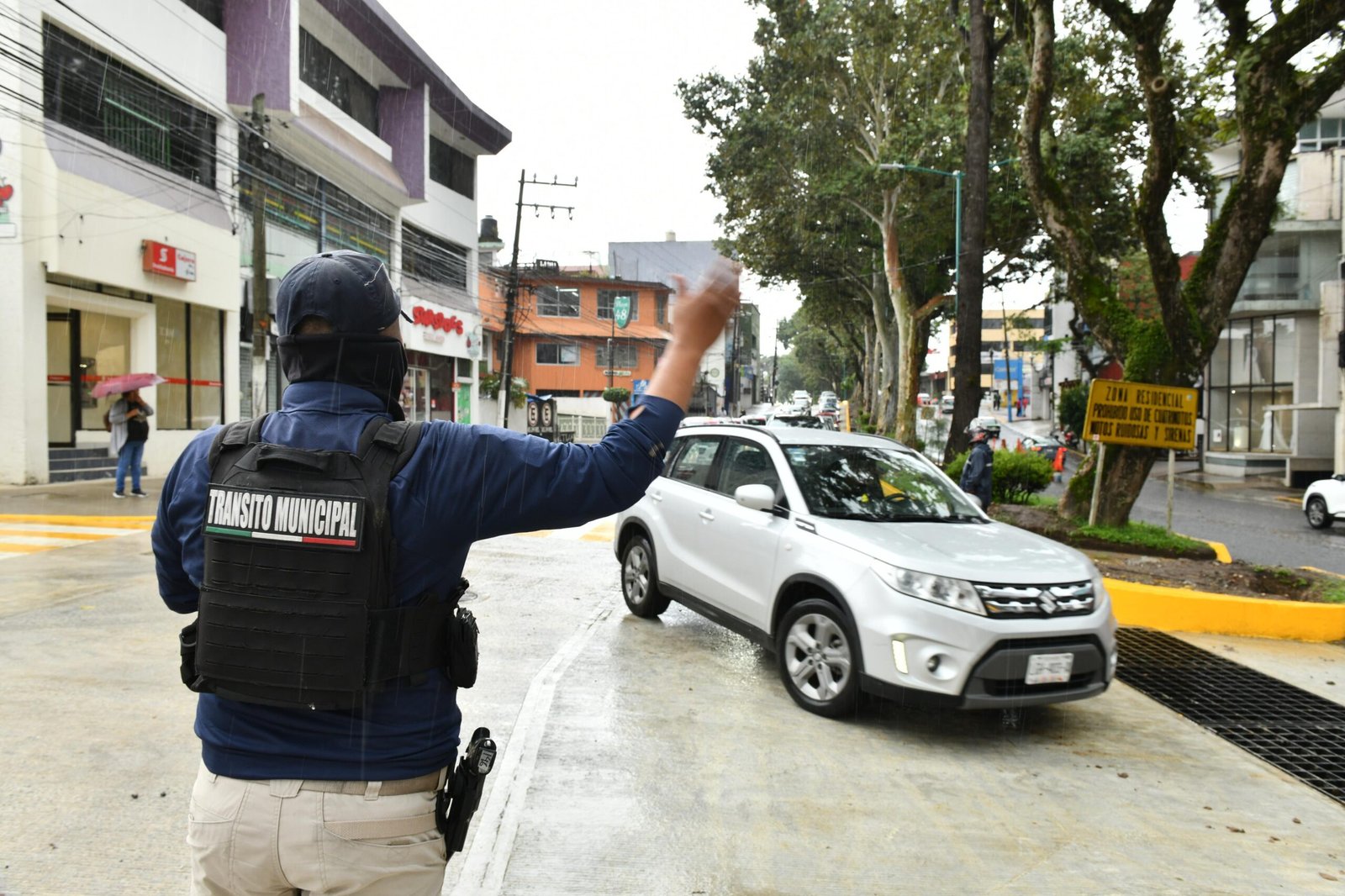 Abren Araucariasde Tepic a Tapachula