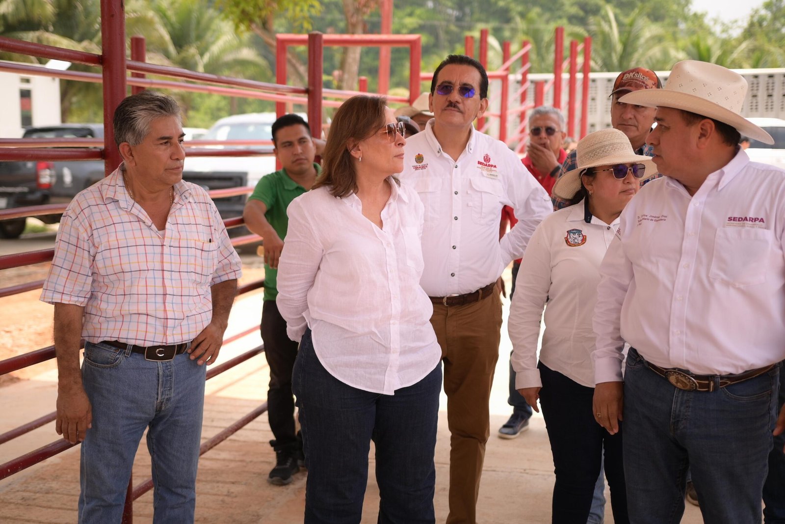 Camionetitas de sanidad animal parte de la estrategia de prevención y combate al gusano barrenador en Veracruz: Rocío Nahle