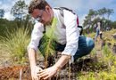 Planta Sedema mil árboles en San Juan del Monte