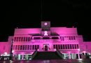 Ilumina Gobierno de Coatzacoalcos de rosa espacios públicos por el Mes de Sensibilización sobre el Cáncer de Mama Ilumina Gobierno de Coatzacoalcos de rosa espacios públicos por el Mes de Sensibilización sobre el Cáncer de Mama