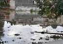 El viernes inició la CMAS trabajos por anegamientos en La Lagunilla El viernes inició la CMAS trabajos por anegamientos en La Lagunilla