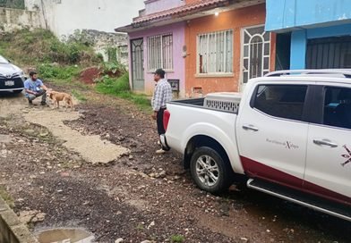 Prioriza Ayuntamiento protección y bienestar animal; se atendió reporte de vecinos de Lomas de Casa Blanca