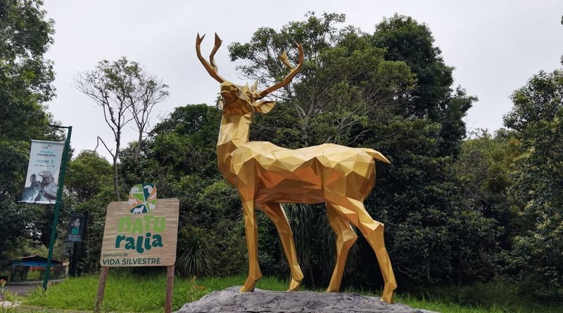 Naturalia transforma el Día de Muertos en un encuentro con la biodiversidad